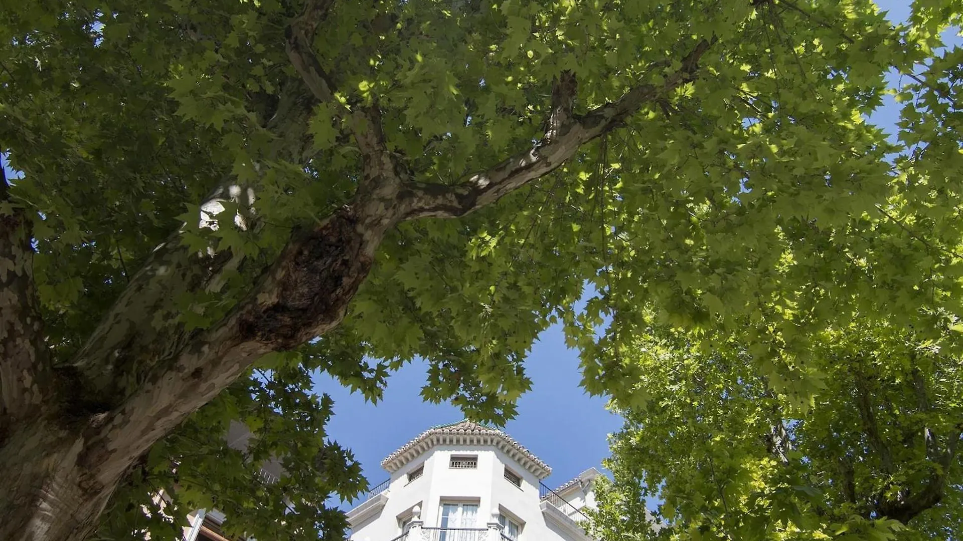 Trinidad Deluxe Penthouse Apartment Granada